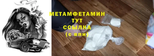 индика Богданович