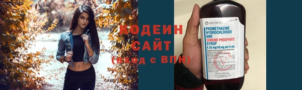 индика Богданович