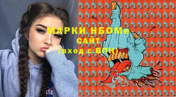 индика Богданович
