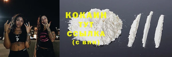 ALPHA-PVP Богородицк