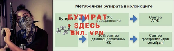 индика Богданович