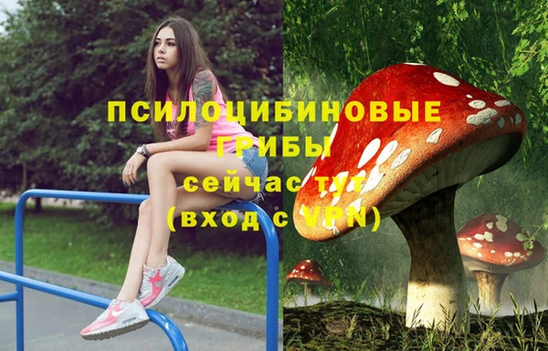 индика Богданович