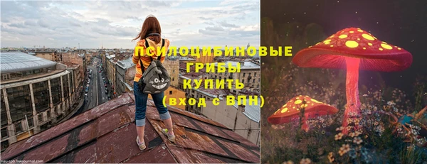 индика Богданович