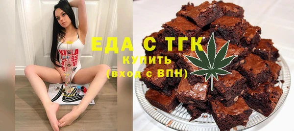 индика Богданович