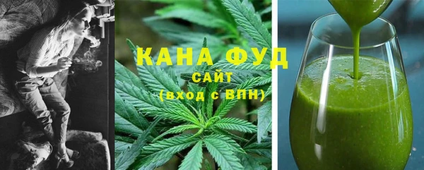 индика Богданович
