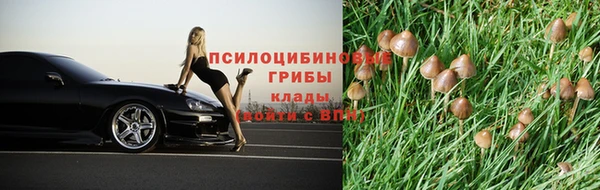 ALPHA-PVP Богородицк