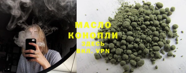 индика Богданович